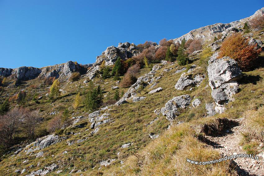09 12603 Panorama verso il Passo dell Orso.JPG